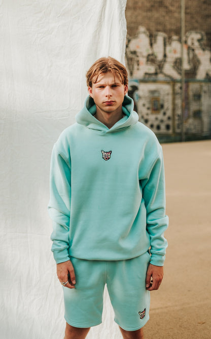TURQUOISE SPORTS CLUB HOODIE CAT - PARI USA , Wearepari, Paul Ripke, pari swim club, Newport Beach, pari