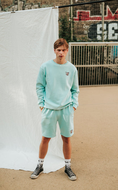 TURQUOISE SPORTS CLUB SWEATSHIRT CAT - PARI USA , Wearepari, Paul Ripke, pari swim club, Newport Beach, pari