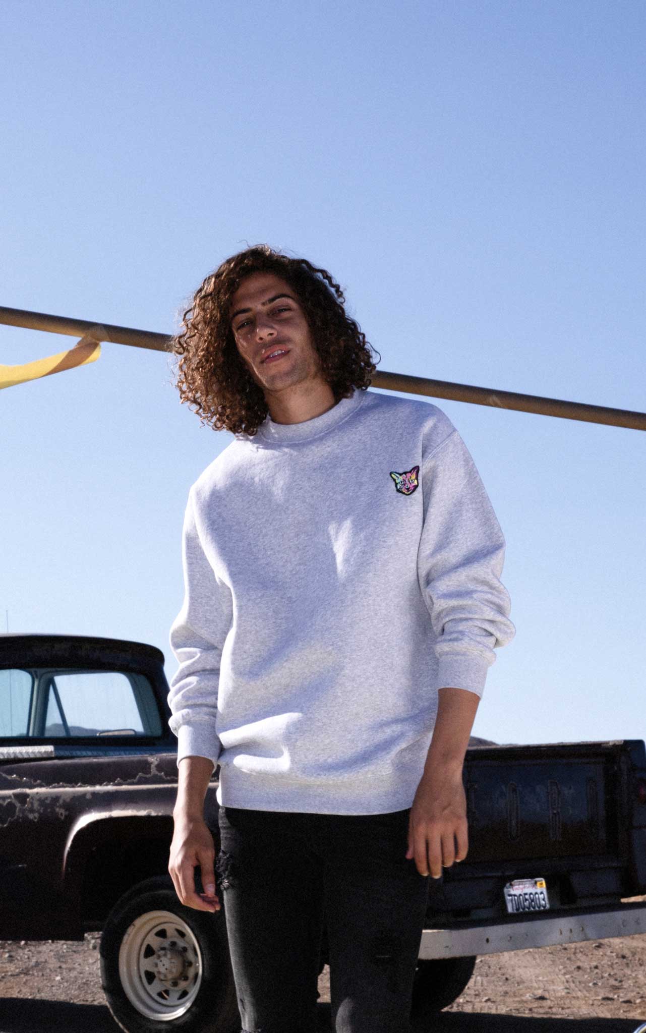 GREY SWEATSHIRT CAT - PARI USA , Wearepari, Paul Ripke, pari swim club, Newport Beach, pari