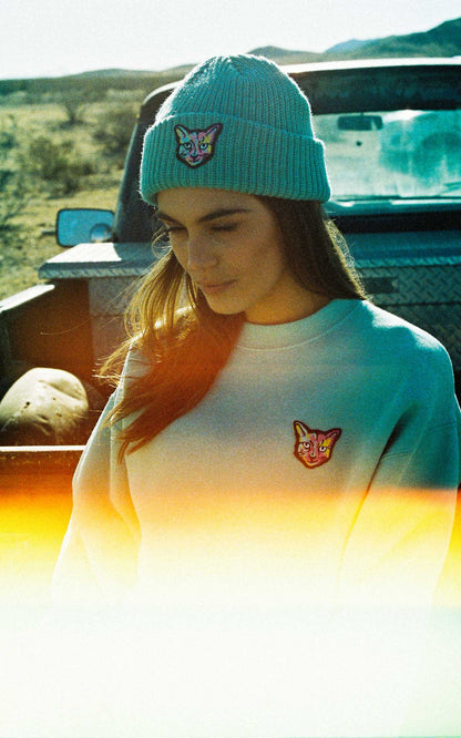 TURQUOISE SWEATSHIRT CAT - PARI USA , Wearepari, Paul Ripke, pari swim club, Newport Beach, pari